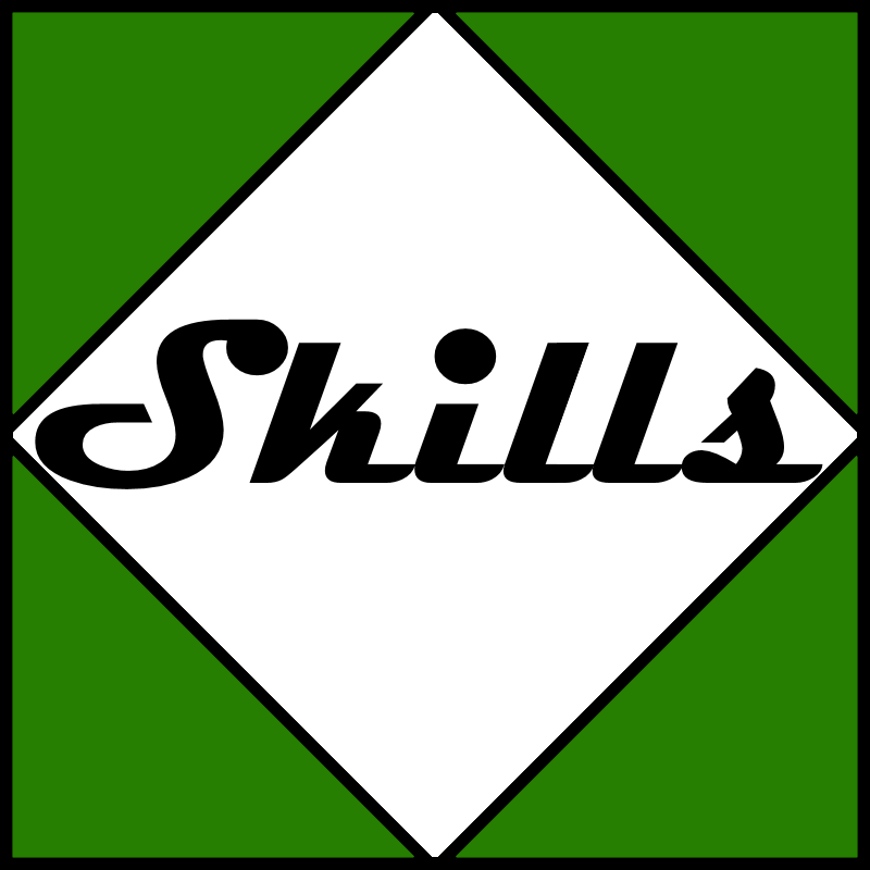 SkewbSkills Logo